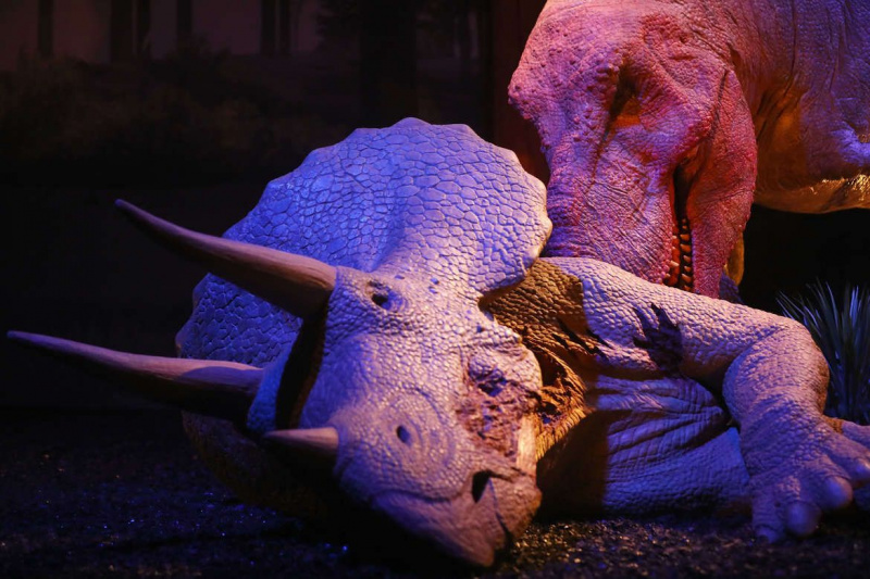 Μηχανικό Μουσείο Triceratops Naturalis