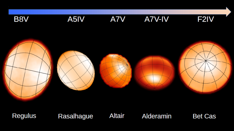 Eine Handvoll schnell rotierender Sterne sind nah und groß genug, um mit speziellen Techniken abgebildet zu werden, und sie sind sichtbar abgeflacht und an ihren Äquatoren dunkler, ein Effekt, der als Gravitationsverdunkelung bezeichnet wird. Bildnachweis: Monnier et al. über CHARA
