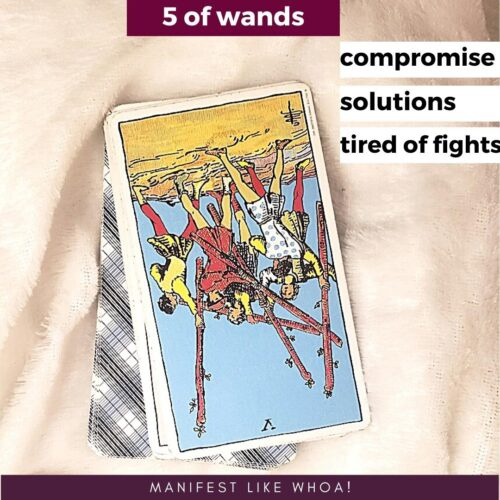   Five of Wands Reversed Tarot Card ความหมาย - วิธีอ่านไพ่ทาโรต์สำหรับผู้เริ่มต้น
