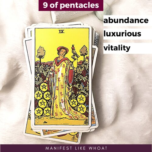 The Nine of Pentacles Card Tarot Οδηγός για αρχάριους