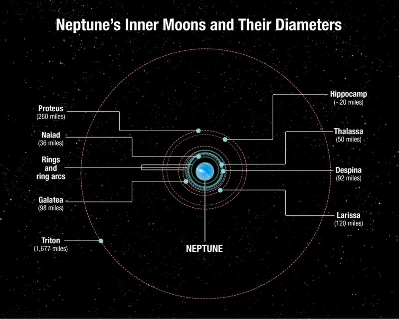 As órbitas e os tamanhos das luas de Netuno, incluindo seus arcos de anel. As órbitas de Proteus e Hippocamp são extremamente próximas. Crédito: NASA, ESA e A. Feild (STScI)