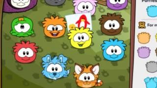 Captura de pantalla de Club Penguin