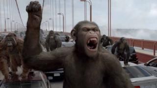 Film Powstanie planety małp: Scena #1: