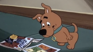 Scooby-Doo ve Scrappy-Doo TV Şovu: Scrappy ipuçlarını arıyor