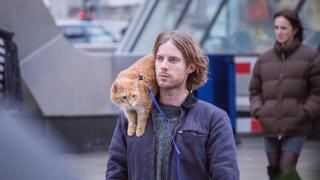 Un gato callejero llamado Bob Película: Escena # 1