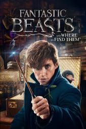 Fantastic Beasts and Where to Find Them Movie Poster Image
