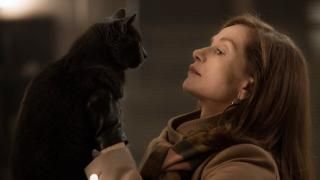 Elle Movie: Michele og en kat