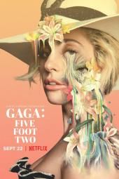 Гага: Слика од пет стопа два филма на постеру
