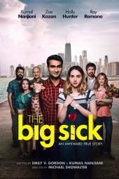 Η εικόνα αφίσας της ταινίας Big Sick