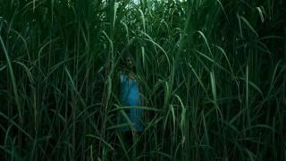 Filmis The Tall Grass: Stseen 1