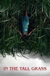В изображението на плакат с филм за висока трева