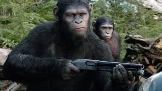 Film Zora planeta majmuna: Scena 1