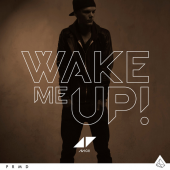 'Wake Me Up' (CD Single)
