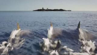 Sügavsinine meri 3 Film: Haid saabuvad Little Happy Islandile