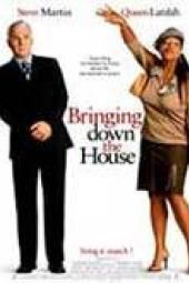 Bringing Down the House Movie Poster Image