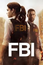 Plagátový obrázok FBI TV