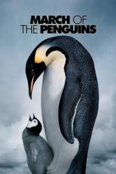 Март на пингвините Филмово плакатно изображение