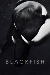Εικόνα αφίσας ταινίας Blackfish