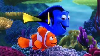 „Nemo“ filmo radimas: Marlinas ir Dory