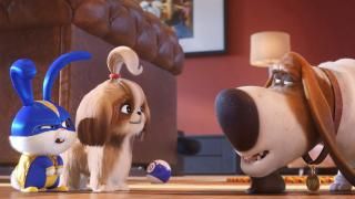 Filme The Secret Life of Pets 2: Snowball e Daisy conversando com um cachorro mais velho