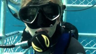 Open Water 3: Cage Dive Movie: Σκηνή # 1