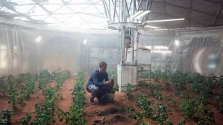 La película marciana: escena # 2