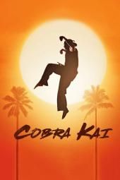 „Cobra Kai“ televizoriaus plakato vaizdas