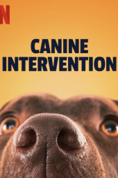 Šunų intervencijos televizijos plakato vaizdas
