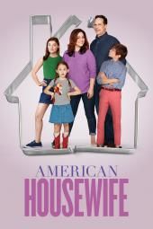 Amerikansk husmor tv-plakatbillede