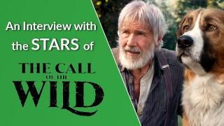 Uma entrevista com as estrelas de The Call of the Wild