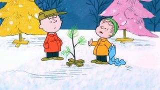 En Charlie Brown-julefilm: Charlie Brown og Linus