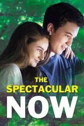 La imagen del póster de la película Spectacular Now
