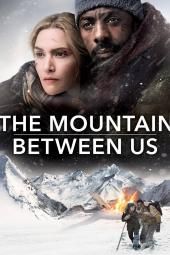Η εικόνα αφίσας του The Mountain Between Us Movie