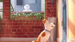La vida secreta de las mascotas: Max espera a Katie
