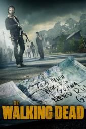 Walking Dead TV plakati pilt
