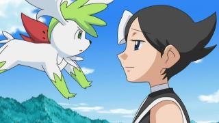 Pokémon: Diamond and Pearl: Sinnoh League Victors TV Show: Scene # 4