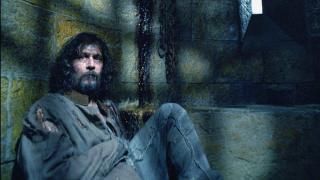 Harry Potter și prizonierul filmului Azkaban: Sirius Black