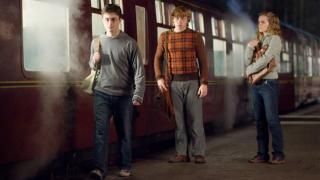 Harry Potter ja Fööniksi ordu: Harry, Ron ja Hermione