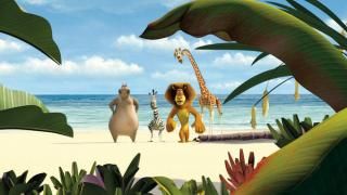 Filme de Madagascar: Cena 1
