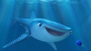 Finding Dory Movie: Dory and Destiny