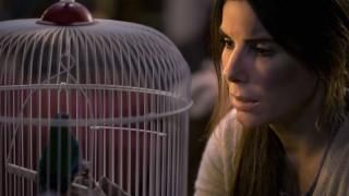 Kuş Kutusu Filmi: Malorie