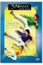 Three Ninjas: Kick Back Movie Poster Image