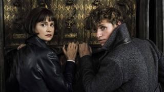 Fantastic Beasts: Crimes of Grindelwald Film: Tina Goldstein og Newt Scamander
