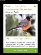 Snimka zaslona aplikacije Merlin Bird ID # 3