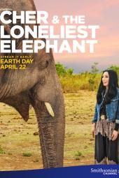 صورة ملصق فيلم Cher & The Loneliest Elephant