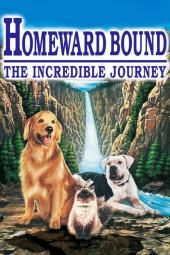 Homeward Bound: Imagem de pôster do filme The Incredible Journey