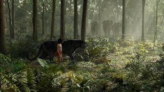 El libro de la selva (2016) Película: Escena # 2