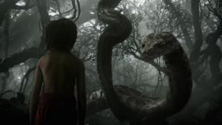 Džungliraamat (2016) Film: Stseen 3