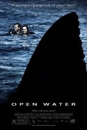 Imagen de póster de película de aguas abiertas