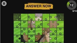 Animal Planet: Trivia Challenge App: Posnetek zaslona št. 2